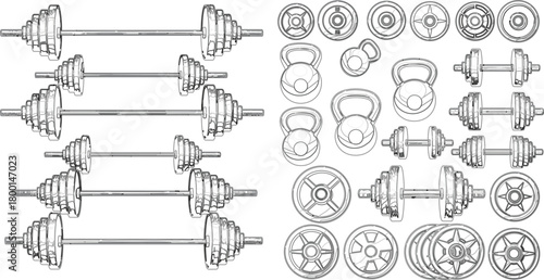 Gym workout equipment collection with barbells, dumbbells, kettlebells, and weight plates, strength training fitness illustration, bodybuilding exercise gear vector design set