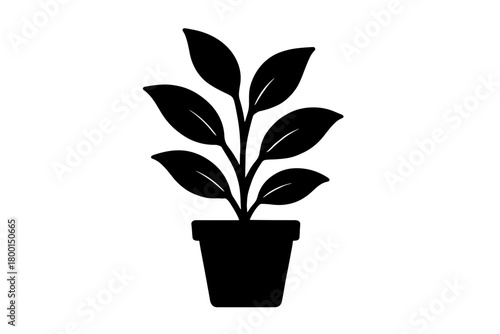 house plant flat black solid vector illustration isolated on white background