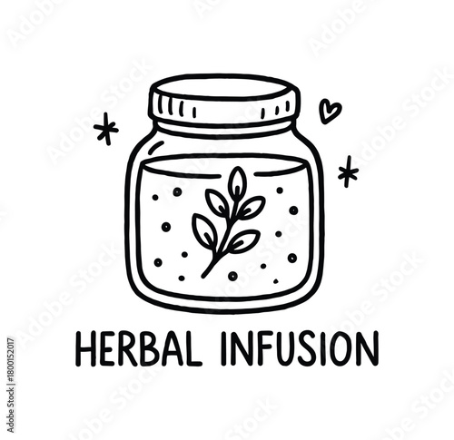 handdrawn cute doodle style herbal infusion jar vector line illustration