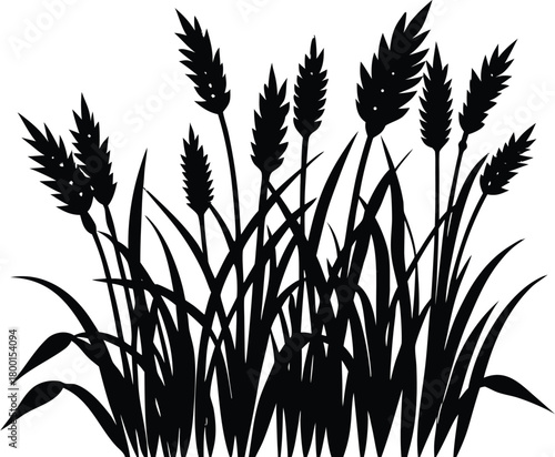 Dry Autumn Grass Silhouette | Autumn Season Grass Outline