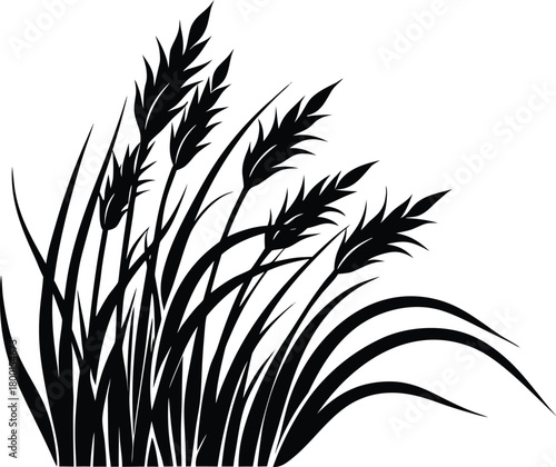 Long Bending Grass Silhouette | Long Flexible Grass Blades