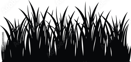 Nature Grass Ground Strip Silhouette | Natural Grass Strip Design