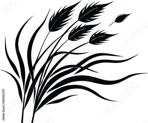 Reed Grass Blowing in Wind Silhouette | Windy Reed Grass Shape