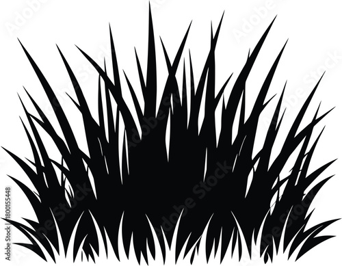 Sharp Spiky Grass Silhouette | Spiky Harsh Grass Blades