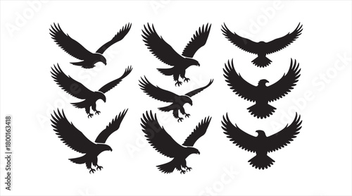 Black raptor silhouettes displaying powerful flight and predatory elegance