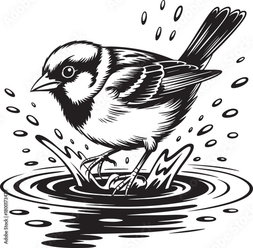 Sparrow splashing water in a puddle illustration