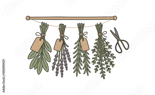 flat vector handdrawn soft palette clean outlines white background zero contain herb drying tied bundles kraft tags blank rack string scissors no logos no gloss