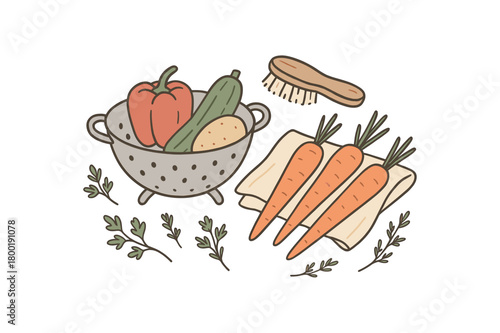 flat vector handdrawn soft palette clean outlines white background zero contain produce wash colander veggie brush towel naked carrots herbs no logos no gloss