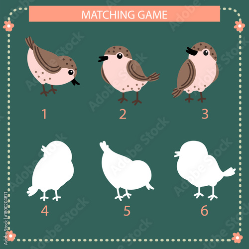 Educational matching game with birds