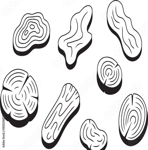 Eight organic wood slice shapes with natural tree ring patterns for rustic background elements