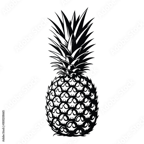 Dramatic pineapple illustration in black and white artful graphic design