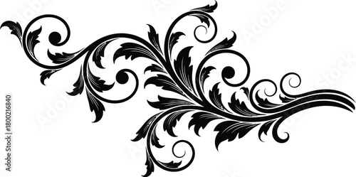Elegant black floral swirl design a decorative element on a white background