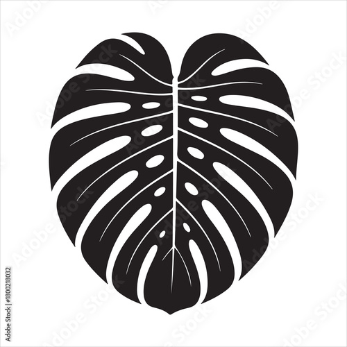 Bold Monstera leaf silhouette with natural tropical cutouts for botanical design use