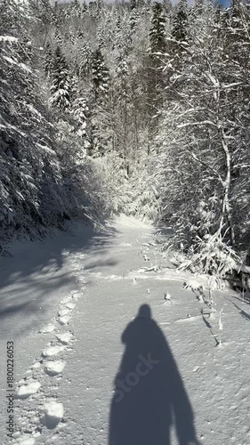 Bijele stijene, reservation in Croatia, winter landscape