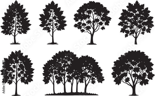 Set of various tree silhouettes isolated on white background