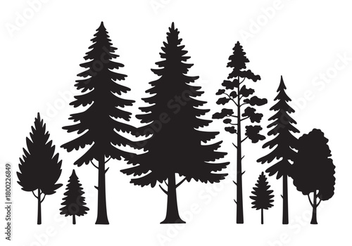 Silhouette of various evergreen tree shapes isolated on white background