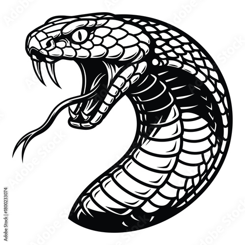 Illustration of cobra snake head with tongue out ready to strike