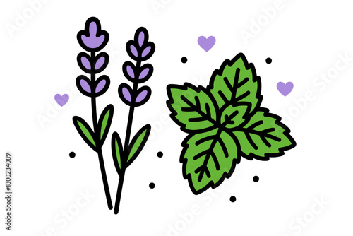 lavender and mint flat vector bold outline white background minimal bright lavender stems mint leaves tiny hearts and dots