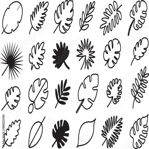 Collection of botanical leaf outlines and tropical foliage contours for natural themes and organic patterns