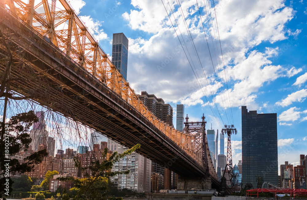 Naklejka premium Queensborough Bridge and Manhattan skyline