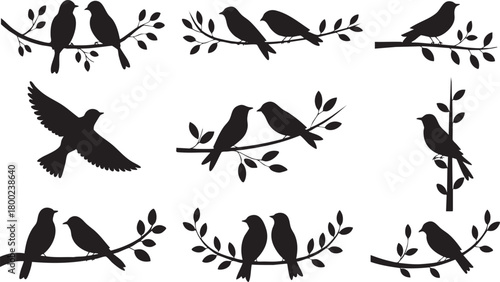 Silhouette birds on branches with leaves vector illustration for design