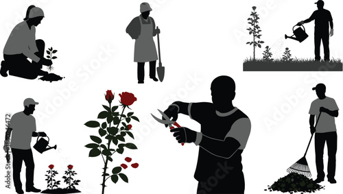 Silhouettes of people gardening planting watering pruning and raking leaves vector