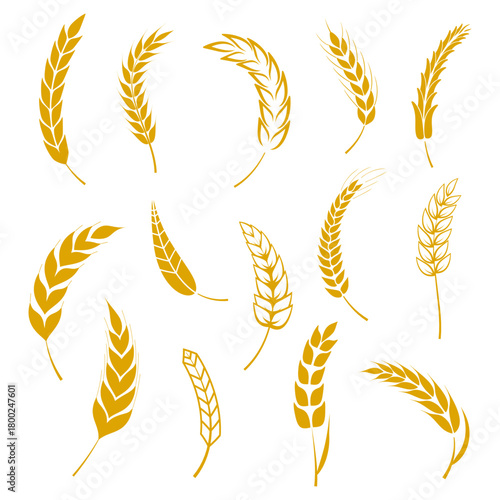 Wheat ears grain agriculture set