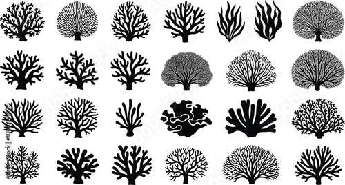 Beautiful coral silhouette collection featuring diverse marine sea plants, ocean reef elements, underwater botanical designs, detailed vector illustrations for decoration