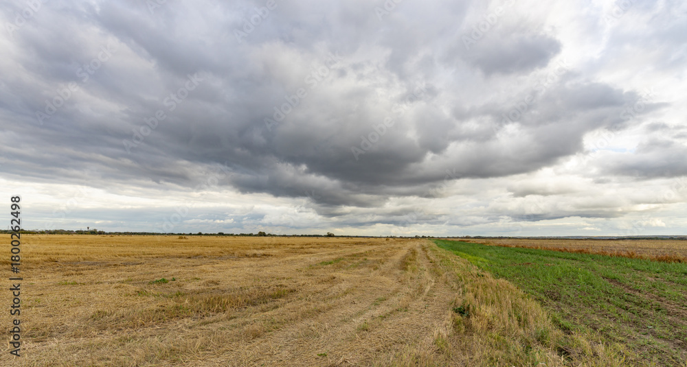 Obraz premium Field of dry grass with a cloudy sky in the background