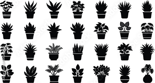 Collection of black silhouette potted houseplants on white background potted plants