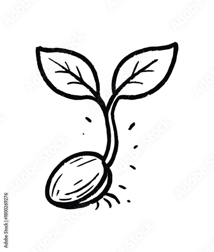 handdrawn cute doodle style seed sprouting vector line illustration