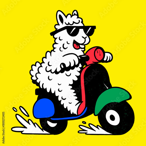 Llama on a scooter having fun in the bright sunshine while splashing through puddles