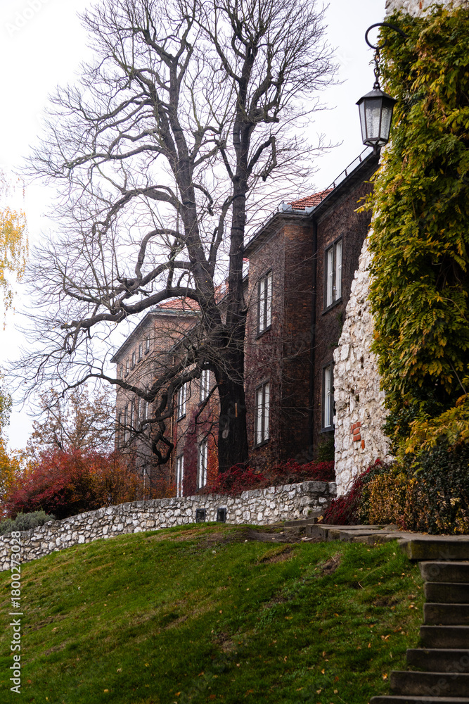 Naklejka premium Old stone building with a large tree and steps in the autumn.