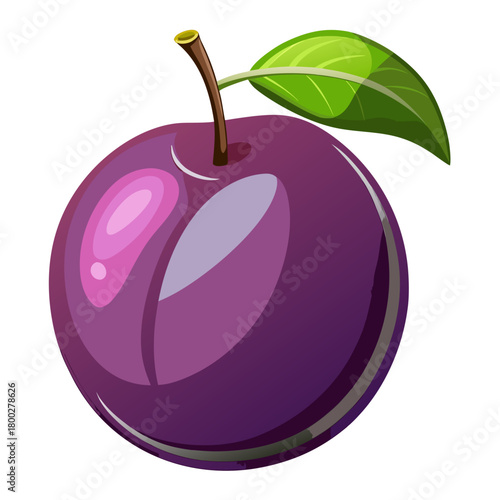 Glossy purple plum illustration with leaf Vector