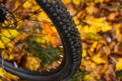 bicycle wheel in autumn park