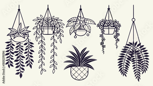 Hanging Plants Line Art Vector, CAD-Style Trailing plant in Pots Symbols for Architecture and Garden Plans