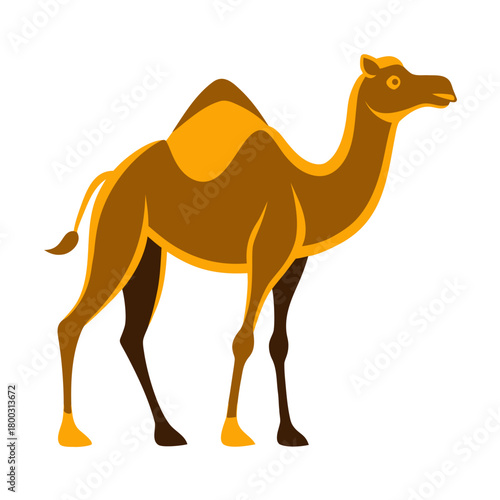 Stylized dromedary camel illustration on white background Vector