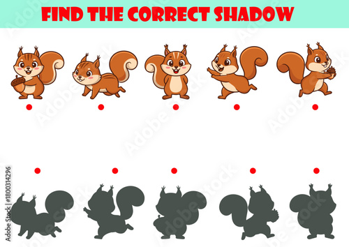Educational kids puzzle with cute squirrel characters and matching shadow game, fun visual logic activity for children’s cognitive development, colorful learning illustration