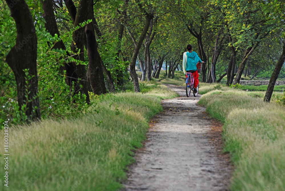 Obraz premium young woman riding a bike