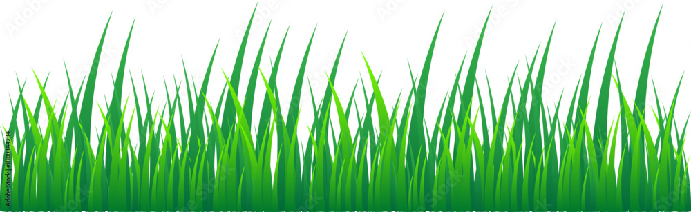 Fototapeta premium Grass Illustration