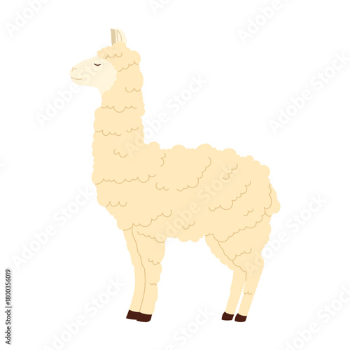 Adorable fluffy llama standing isolated on white background, perfect for Argentina themed designs vector illustration