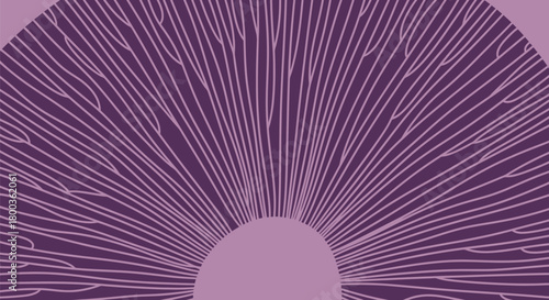 Hypnotic pattern with radial lines in shades of purple, an abstract design