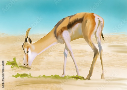  illustration of a gazelle grazing in the desert.
