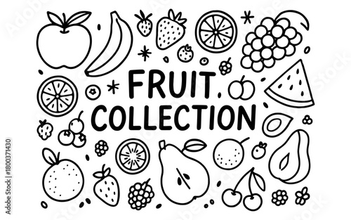 Fruit collection outline with assorted fruits including berries, apples, and pears