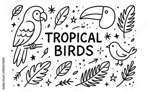 Tropical birds and foliage in playful linear style