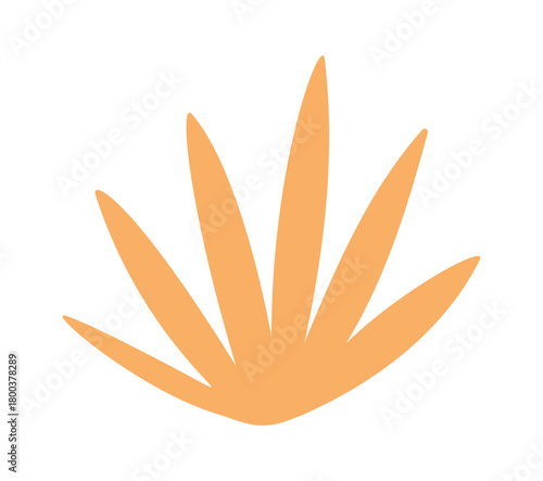 Dried grass element desert flora