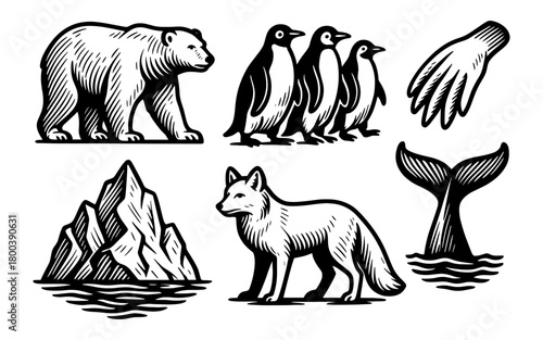 Hand-drawn arctic wildlife: polar bear, penguins, iceberg, whale tail, arctic fox