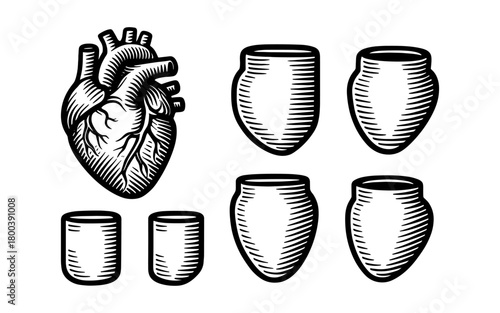 Retro hand drawn anatomical heart and ancient pottery
