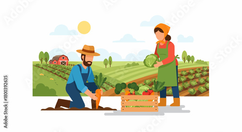 Farmers Harvesting Fresh Vegetables In The Countryside Landscape