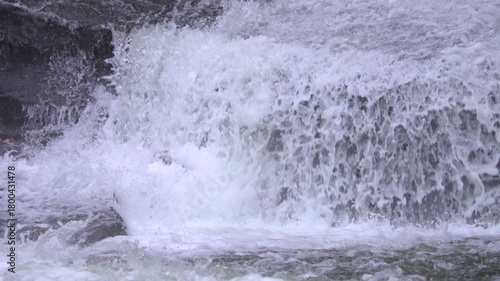 Slow motion of Salmon attempting to jump up waterfalls along Lake Creek in Oregon during fall migration